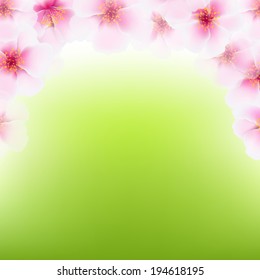 Pink Cherry Flower Frame, With Gradient Mesh, Vector Illustration