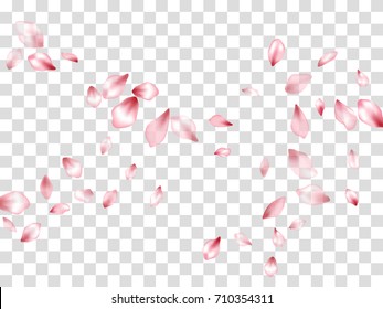 Pink cherry flower parts blossom petals flying vector elements isolated on grid transparent background illustration. Flying flower elements wedding invitation petals pattern, valentine background.