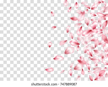 Pink cherry flower parts blossom petals flying vector elements isolated on grid transparent background illustration. Flying flower elements wedding invitation petals pattern, valentine background.