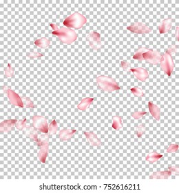 Pink cherry flower parts blossom petals flying vector elements isolated on grid transparent background illustration. Flying flower elements wedding invitation petals pattern, valentine background.