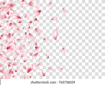 Pink cherry flower parts blossom petals flying vector elements isolated on grid transparent background illustration. Flying flower elements wedding invitation petals pattern, valentine background.