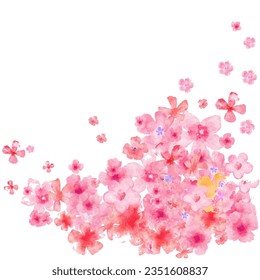 pink cherry flower sakura illustration