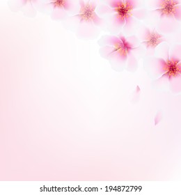 Pink Cherry Flowers, With Gradient Mesh, Vector Illustration