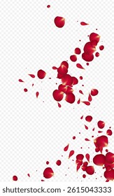 Pink Cherry Flying Vector Transparent Background. Tender Blossom Design. Red Lotus Beauty Pattern. Beautiful Flower Japanese Banner.