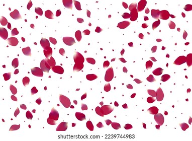 Pink Cherry Japan Vector White Background. Beauty Rose Backdrop. Purple Lotus Flying Cover. Delicate Peach Japanese Banner.