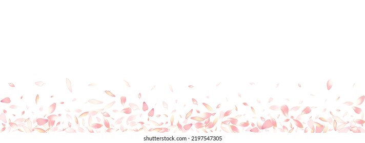 Pink Cherry Petal Vector Panoramic Background. Pastel Invitation Flower Petal Backdrop. Rose Petal Wallpaper Card. Floral Apple Petal Product.