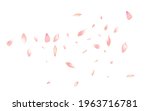 Pink Cherry Petal Vector White Background. Pastel Aroma Peach Petal Congratulation. Sakura Petal Bright Cover. Delicate Apple Petal Pattern.