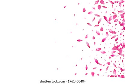 Pink Cherry Petal Vector White Background. Pastel Summer Peach Petal Poster. Rose Petal Blossom Card. Delicate Flower Petal Banner.