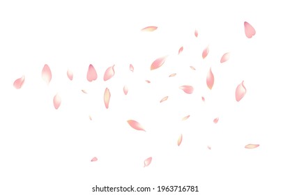 Pink Cherry Petal Vector White Background. Pastel Aroma Peach Petal Congratulation. Sakura Petal Bright Cover. Delicate Apple Petal Pattern.
