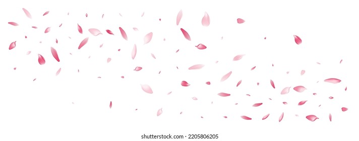 Pink Cherry Petal Vector White Background. Pastel Romance Peach Petal Template. Lotus Petal Romantic Illustration. Floral Apple Petal Card.