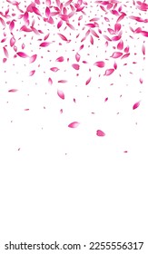 Pink Cherry Petal Vector White Background. Transparent Wedding Apple Petal Backdrop. Lotus Petal Aroma Poster. Realistic Flower Petal Template.