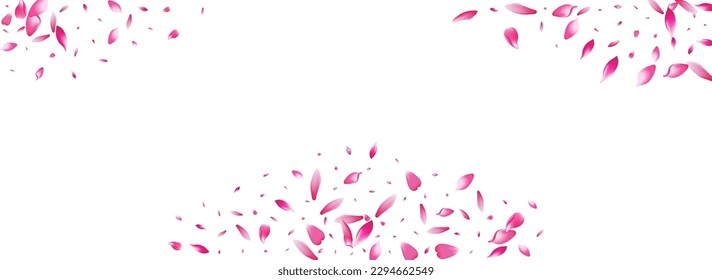 Pink Cherry Petal Vector White Background. Transparent Floor Sakura Petal Backdrop. Apple Petal Wallpaper Product. Japan Peach Petal Cover.