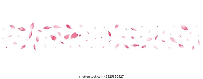 Pink Cherry Petal Vector White Background. White Spa Flower Petal Congratulation. Sakura Petal 3d Banner. Beauty Lotus Petal Frame.