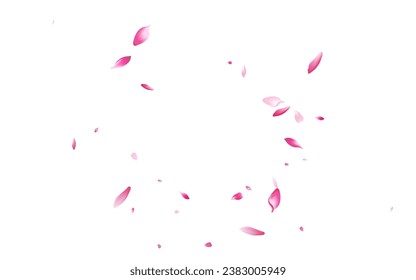 Pink Cherry Petal Vector White Background. Purple Blossom Peach Petal Template. Apple Petal Flying Backdrop. Realistic Flower Petal Cover.