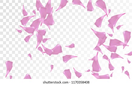 Pink Cherry Petals Falling Down. Isolated Vector illustration of Cherry Petals. Flying Pink Sakura Blossom Background. Design of Greeting or Invitation Card. 
