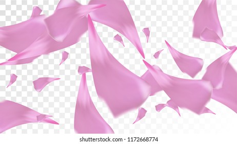 Pink Cherry Petals Falling Down. Isolated Vector illustration of Cherry Petals. Flying Pink Sakura Blossom Background. Design of Greeting or Invitation Card. 
