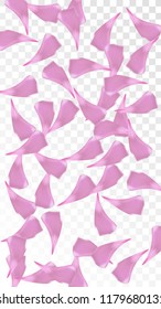Pink Cherry Petals Falling Down. Isolated Vector illustration of Cherry Petals. Flying Pink Sakura Blossom Background. Design of Greeting or Invitation Card. 
