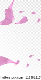Pink Cherry Petals Falling Down. Isolated Vector illustration of Cherry Petals. Flying Pink Sakura Blossom Background. Design of Greeting or Invitation Card. 

