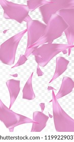 Pink Cherry Petals Falling Down. Isolated Vector illustration of Cherry Petals. Flying Pink Sakura Blossom Background. Design of Greeting or Invitation Card. 
