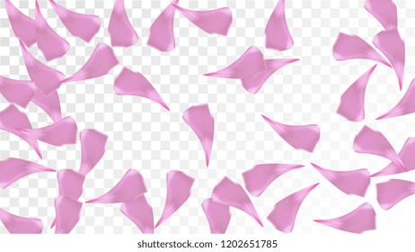 Pink Cherry Petals Falling Down. Isolated Vector illustration of Cherry Petals. Flying Pink Sakura Blossom Background. Design of Greeting or Invitation Card. 
