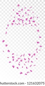 Pink Cherry Petals Falling Down. Isolated Vector illustration of Cherry Petals. Flying Pink Sakura Blossom Background. Design of Greeting or Invitation Card. 
