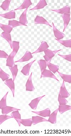 Pink Cherry Petals Falling Down. Isolated Vector illustration of Cherry Petals. Flying Pink Sakura Blossom Background. Design of Greeting or Invitation Card. 
