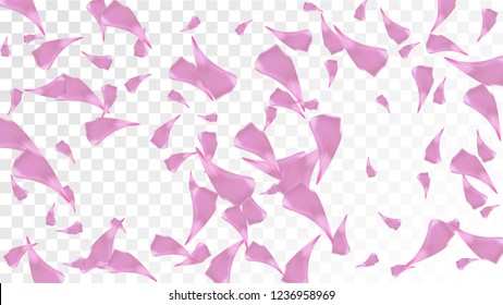 Pink Cherry Petals Falling Down. Isolated Vector illustration of Cherry Petals. Flying Pink Sakura Blossom Background. Design of Greeting or Invitation Card. 