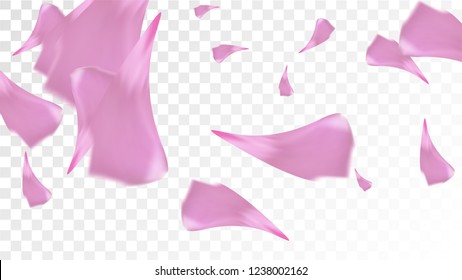 Pink Cherry Petals Falling Down. Isolated Vector illustration of Cherry Petals. Flying Pink Sakura Blossom Background. Design of Greeting or Invitation Card. 
