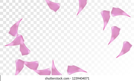 Pink Cherry Petals Falling Down. Isolated Vector illustration of Cherry Petals. Flying Pink Sakura Blossom Background. Design of Greeting or Invitation Card. 
