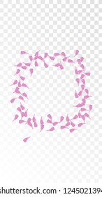 Pink Cherry Petals Falling Down. Isolated Vector illustration of Cherry Petals. Flying Pink Sakura Blossom Background. Design of Greeting or Invitation Card. 

