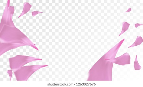 Pink Cherry Petals Falling Down. Isolated Vector illustration of Cherry Petals. Flying Pink Sakura Blossom Background. Design of Greeting or Invitation Card. 
