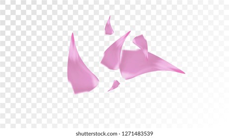 Pink Cherry Petals Falling Down. Isolated Vector illustration of Cherry Petals. Flying Pink Sakura Blossom Background. Design of Greeting or Invitation Card. 
