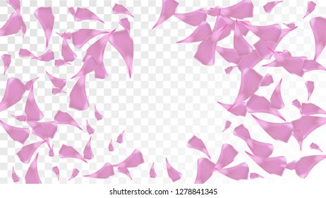 Pink Cherry Petals Falling Down. Isolated Vector illustration of Cherry Petals. Flying Pink Sakura Blossom Background. Design of Greeting or Invitation Card. 
