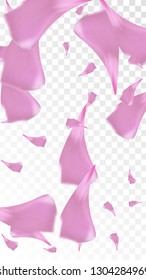 Pink Cherry Petals Falling Down. Isolated Vector illustration of Cherry Petals. Flying Pink Sakura Blossom Background. Design of Greeting or Invitation Card. 
