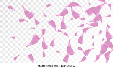 Pink Cherry Petals Falling Down. Isolated Vector illustration of Cherry Petals. Flying Pink Sakura Blossom Background. Design of Greeting or Invitation Card. 
