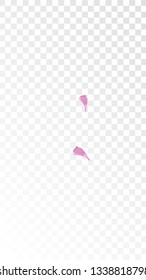 Pink Cherry Petals Falling Down. Isolated Vector illustration of Cherry Petals. Flying Pink Sakura Blossom Background. Design of Greeting or Invitation Card. 
