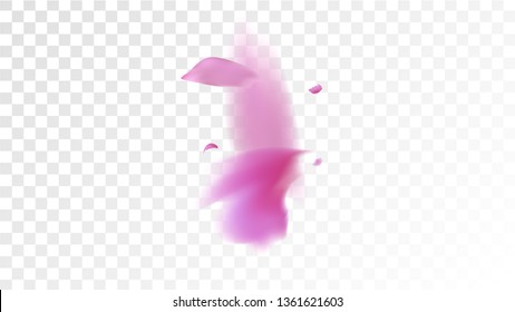 Pink Cherry Petals Falling Down. Isolated Vector illustration of Cherry Petals. Flying Pink Sakura Blossom Background. Design of Greeting or Invitation Card. 
