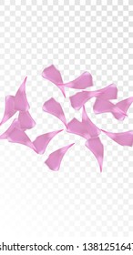 Pink Cherry Petals Falling Down. Isolated Vector illustration of Cherry Petals. Flying Pink Sakura Blossom Background. Design of Greeting or Invitation Card. 

