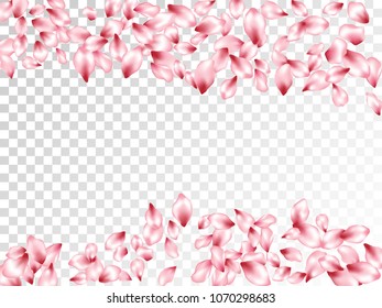 Pink cherry petals flying on transparent vector cosmetics background. Spring falling flower parts confetti, blossom elements valentine design. Idyllic flower blossom petals border background design.