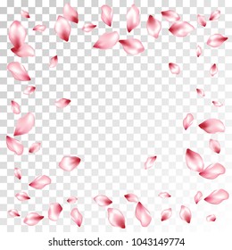 Pink cherry petals flying vector beauty salon background. Spring falling flower parts confetti, blossom elements graphic design. Realistic flower blossom petals background pattern.