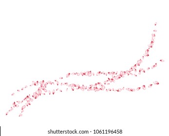 Pink cherry petals flying vector greeting card background. Spring falling flower parts confetti, blossom elements valentine design. Trendy flower blossom petals vector poster background.
