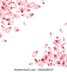 Pink cherry petals flying vector fashionable background. Spring falling flower parts confetti, blossom elements seasonal design. Blooming flower blossom petals background design.