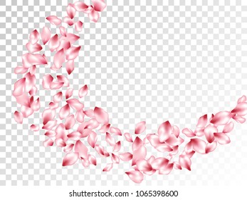 Pink cherry petals flying vector spa background. Spring falling flower parts confetti, blossom elements valentine design. Simple flower blossom petals card vector background.