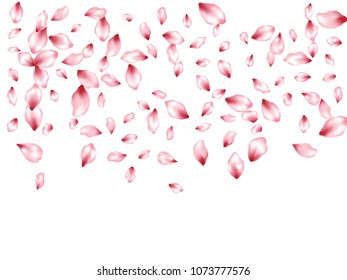 Pink cherry petals flying vector spa background. Spring falling flower parts confetti, blossom elements wedding design. Mainimal flower blossom petals background pattern.