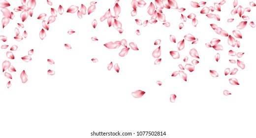 Pink cherry petals flying vector greeting card background. Spring falling flower parts confetti, blossom elements april design. Creative flower blossom petals card vector background.