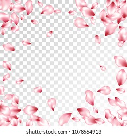 Pink cherry petals flying vector invitation background. Spring falling flower parts confetti, blossom elements floral design. Stylish flower blossom petals background vector.