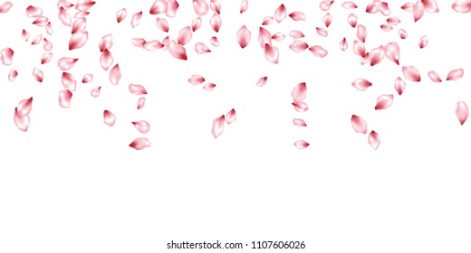 Pink cherry petals flying vector invitation background. Spring falling flower parts confetti, blossom elements april design. Blooming flower blossom petals flyer vector background.