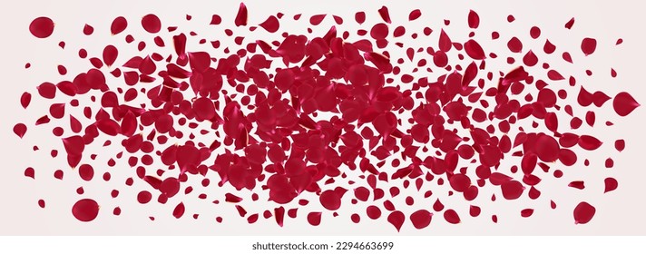 Pink Cherry Tender Vector Panoramic White Background. Japanese Rose Banner. Delicate Lotus Flying Texture. Red Flower Fall Template.