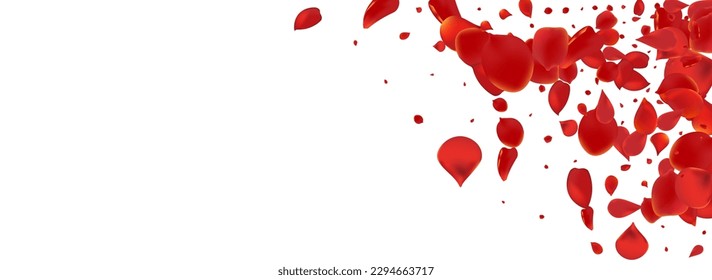 Pink Cherry Tender Vector Panoramic White Background. Japan Petal Template. Beautiful Flower Japanese Poster. Red Lotus Summer Frame.