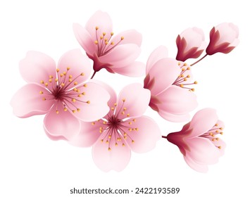 Pink Cherry Tree Blossom Branch